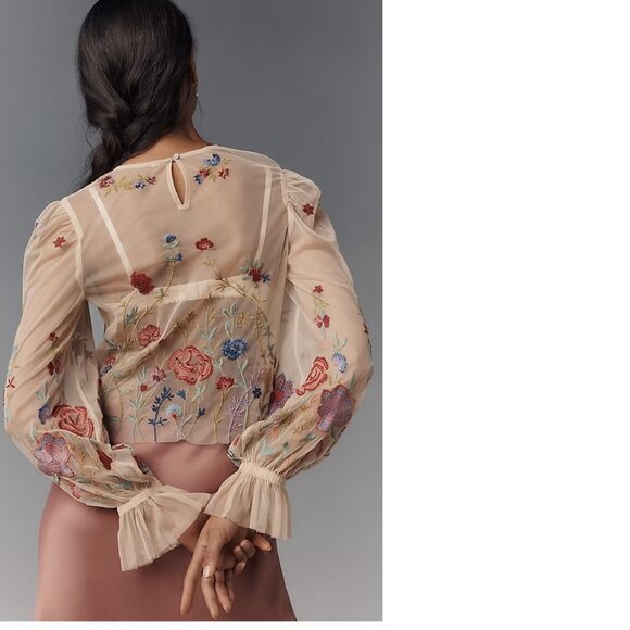 Anthropologie The Layla Long-Sleeve Appliqué Mesh Blouse size 2XS XXS new - Picture 2 of 10